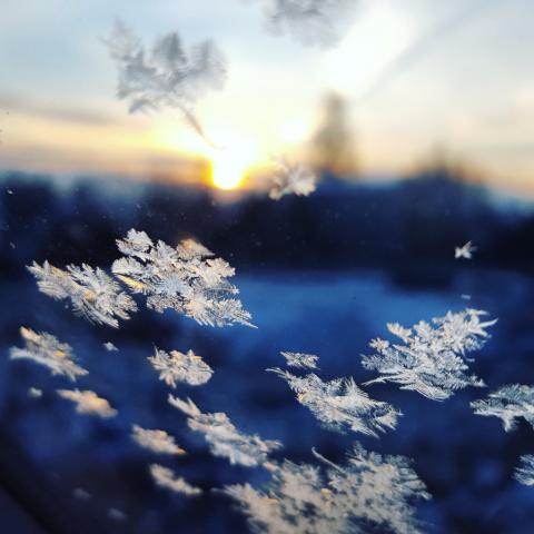 Image of snowflakes by Kacper Szezechla from Unsplash